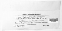 Image Associated With the Occurence